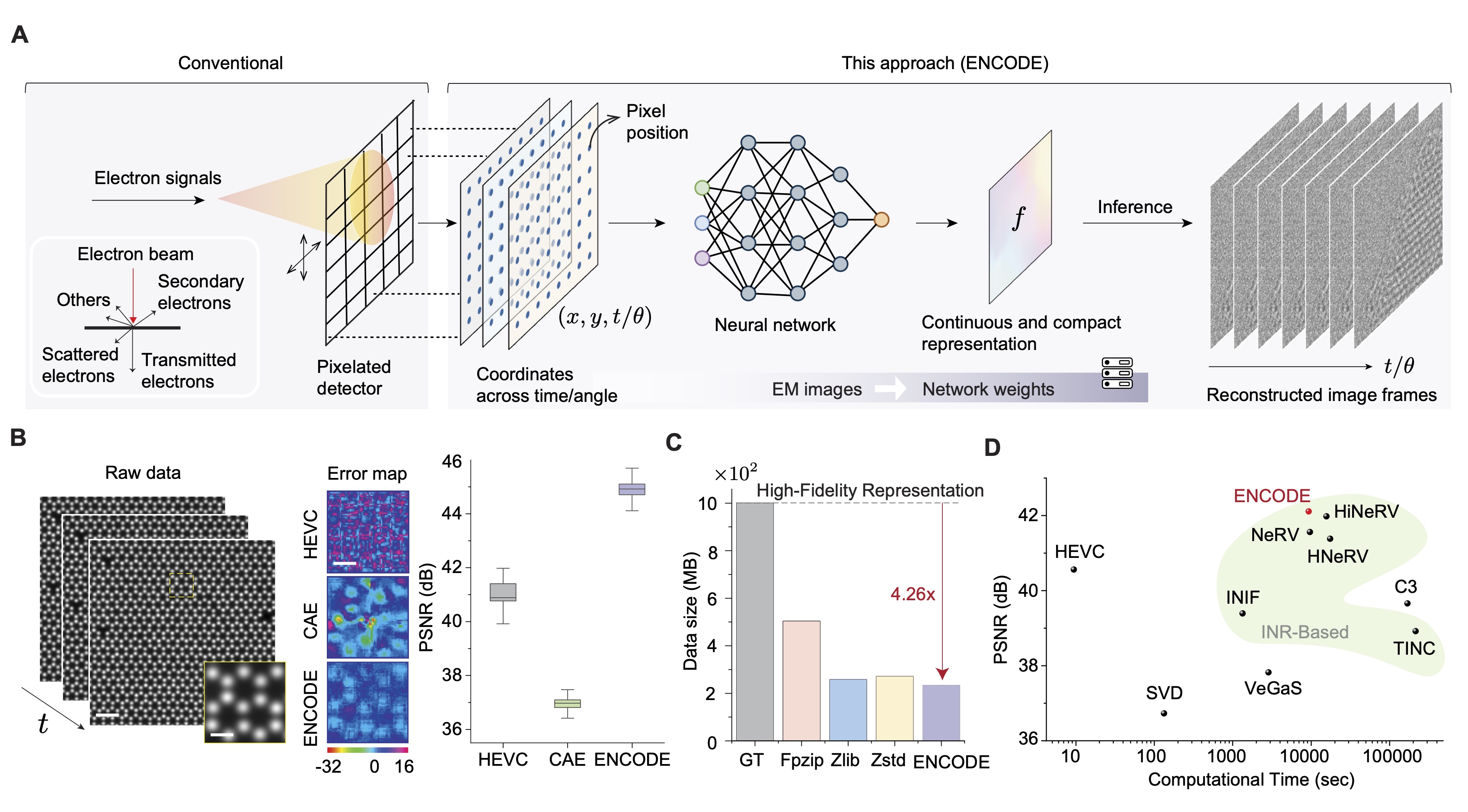 ENCODE continuous neural representations for electron microscopy