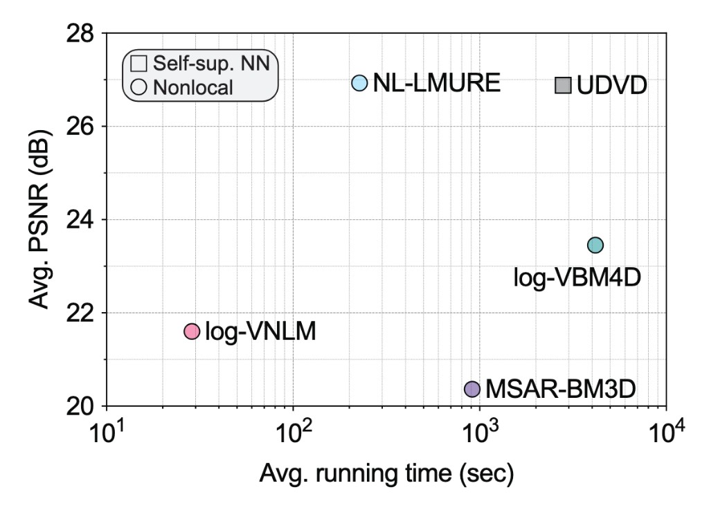 NL-LMURE for video denoising under multiplicative noise
